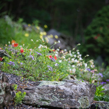 Zen Meditation Gravel Garden