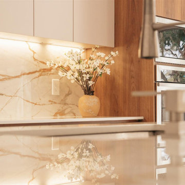 Transforming Miami Kitchens: Bespoke Renovation Mastery by D’Cassa