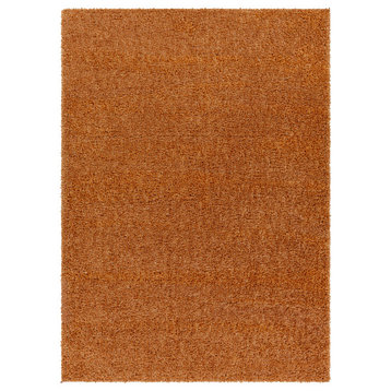 Digby 6'7" X 9' Area Rug