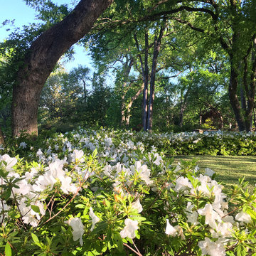 Fort Worth Estate Garden