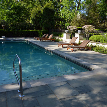 Renovating an Elegant Landscape