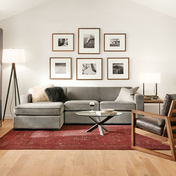 Amira Rugs