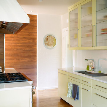 Modern Kitchen Remodel