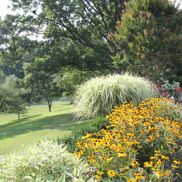 Garden Views in Montclair