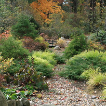 Land Scape