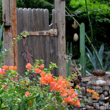 Artist's Garden