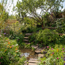 Garden Tour: A Flood-resilient Garden With Beautiful Planting