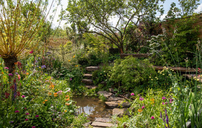 Garden Tour: A Flood-resilient Garden With Beautiful Planting