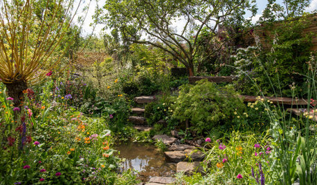 Un jardin résistant aux inondations avec de belles plantations