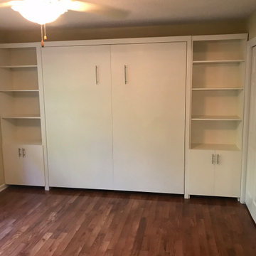 Contemporary Vertical Queen Size Murphy Bed Cabinet with Side Storage and Shelvi