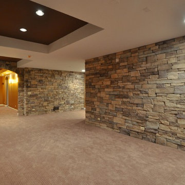 Bolingbrook Basement