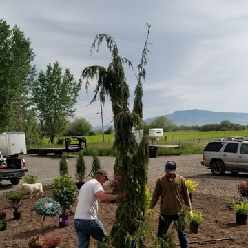 Landscaping