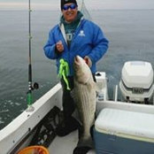 Dave Massimino's photo