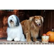 Beth Schroeder's photo