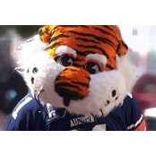 Judy Walker's photo