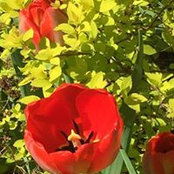 Charlotte Bruner's photo
