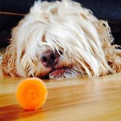 Jeanne Nishimoto's photo