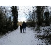 Stuart Berkoff's photo