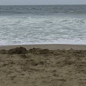 Sharon Berger's photo