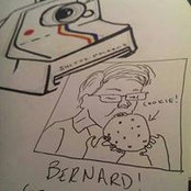 Bernard Wongさんの写真