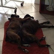 Kona Hurley's photo