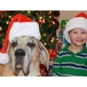 Laura Webber Atkins's photo