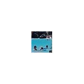 Jeffrey Stein's photo