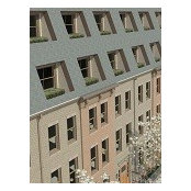 William Van Ryzin's photo