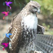 Gail Johnson's photo