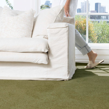 Carpet Christchurch