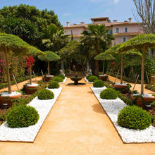 Front yard