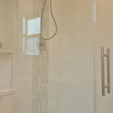 Carrara Made Easy