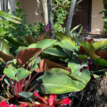 Tropical appeal for equestrian farm entrance