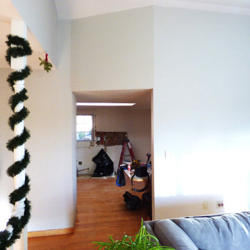 Matt & Stephanie Franco Kitchen Before & After
