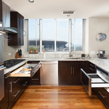 Chicago South Loop Kitchen Remodeling