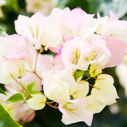 New Stock Photography - Products