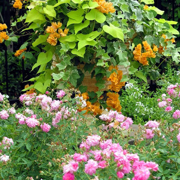 Miscellaneous Gardens and Pretty Things