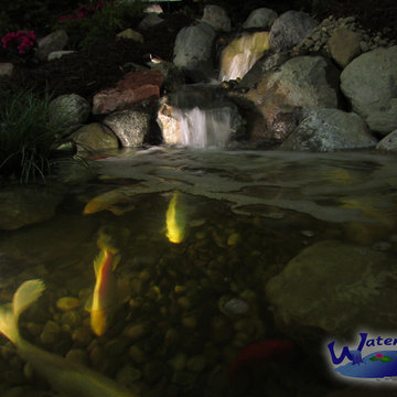 Water Feature - Pond