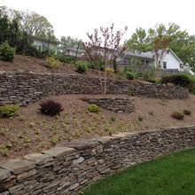 Sloped Landscaping