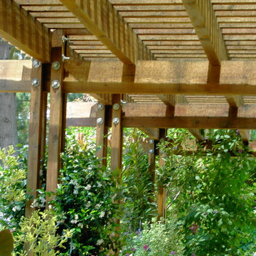 red wood arbor