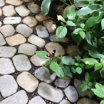 Atlantis Marine World Butterfly Exhibit