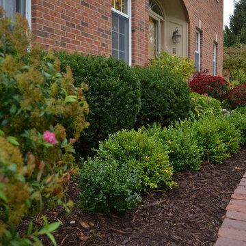 Front Foundation Plantings
