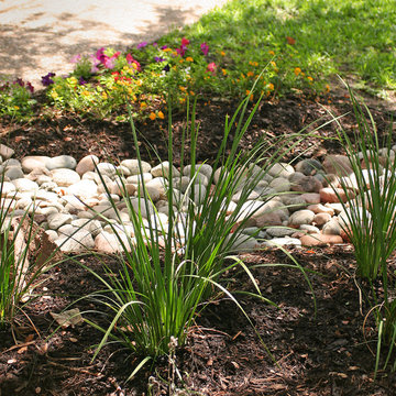 Flowerbeds and Backyard Makeover