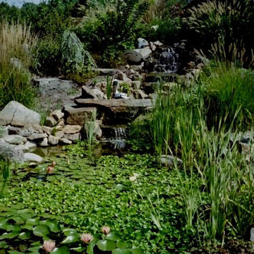 Ponds and Streams