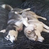 Kimberley Smith's photo