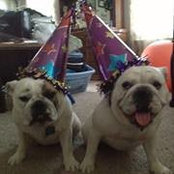 Wendy Beardsley's photo