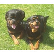 Maria Fortin's photo