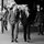 tyler_pilkington_sperry