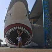 Edward Ouellette's photo