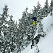 Chase Holland's photo